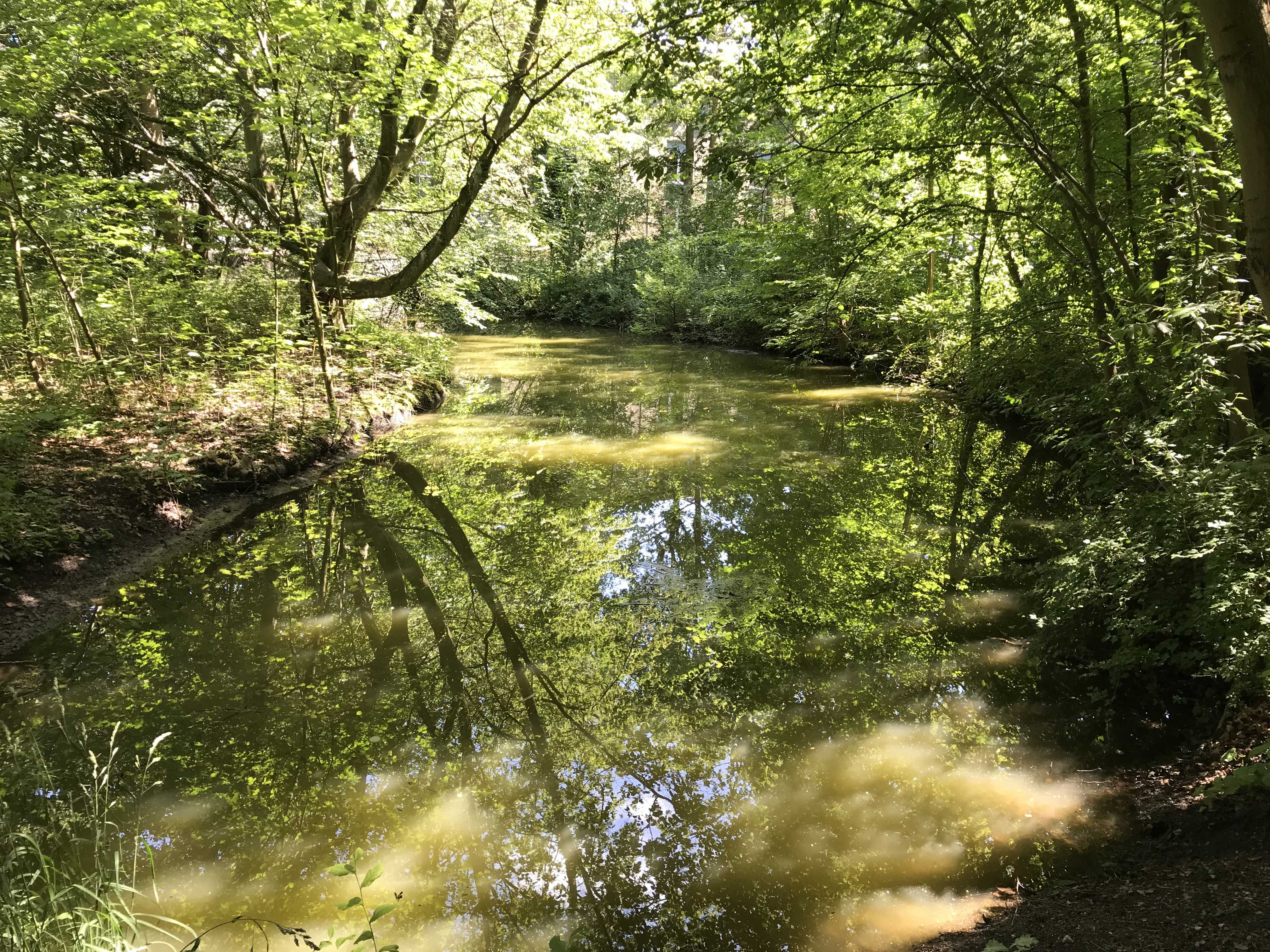 Sommer i Lyngby-Taarbæk